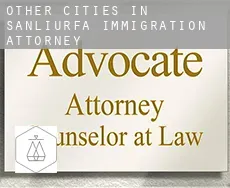 Other cities in Sanliurfa  immigration attorney