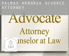 Palmas Arborea  divorce attorney