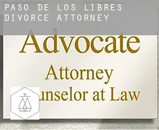 Departamento de Paso de los Libres  divorce attorney