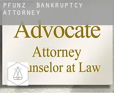 Pfünz  bankruptcy attorney