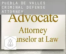 Puebla de Valles  criminal defense attorney