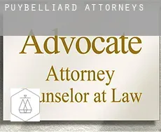 Puybelliard  attorneys