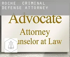 Roche  criminal defense attorney