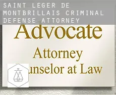 Saint-Léger-de-Montbrillais  criminal defense attorney
