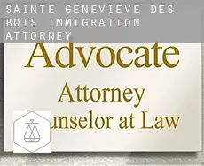 Sainte-Geneviève-des-Bois  immigration attorney
