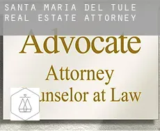 Santa María del Tule real estate attorney