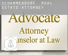 Schammendorf real estate attorney