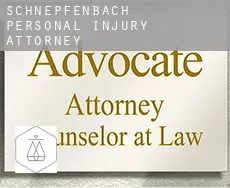 Schnepfenbach  personal injury attorney