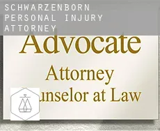 Schwarzenborn  personal injury attorney