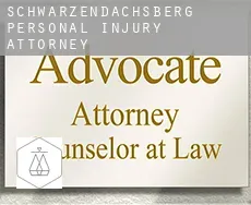 Schwarzendachsberg personal injury attorney