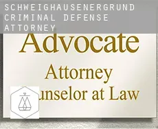Schweighausenergrund  criminal defense attorney