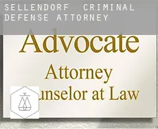 Sellendorf  criminal defense attorney