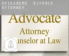 Spiesberg  divorce attorney