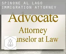 Spinone al Lago immigration attorney
