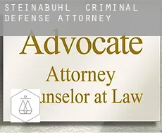Steinabühl  criminal defense attorney