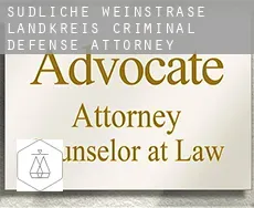 Südliche Weinstraße Landkreis  criminal defense attorney