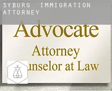 Syburg  immigration attorney