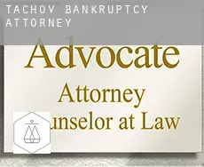 Tachov  bankruptcy attorney