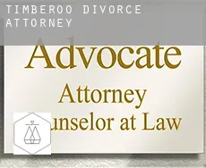 Timberoo  divorce attorney