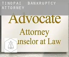 Tinopai  bankruptcy attorney