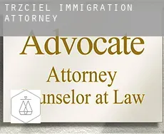 Trzciel  immigration attorney