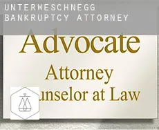 Unterweschnegg  bankruptcy attorney
