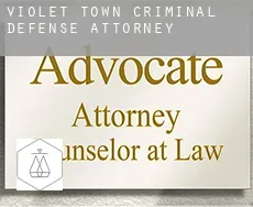 Violet Town  criminal defense attorney