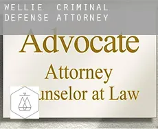 Wellie  criminal defense attorney