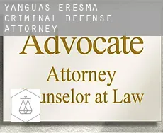 Yanguas de Eresma  criminal defense attorney