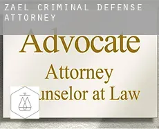 Zael  criminal defense attorney