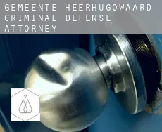 Gemeente Heerhugowaard  criminal defense attorney