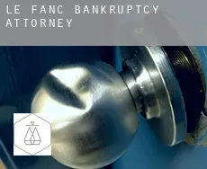 Le Fanc  bankruptcy attorney