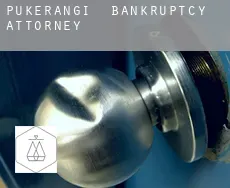 Pukerangi  bankruptcy attorney