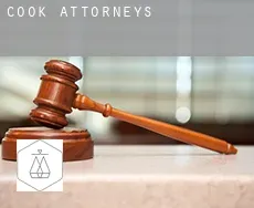 Cook attorneys