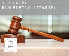 Herbertville bankruptcy attorney
