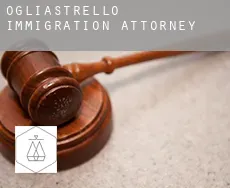 Ogliastrello immigration attorney