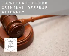 Torreblascopedro  criminal defense attorney