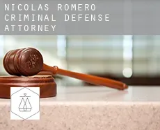 Nicolás Romero  criminal defense attorney