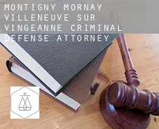 Montigny-Mornay-Villeneuve-sur-Vingeanne criminal defense attorney