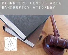 Pionniers (census area)  bankruptcy attorney