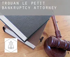 Trouan-le-Petit  bankruptcy attorney