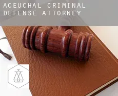 Aceuchal  criminal defense attorney