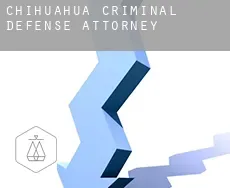Chihuahua  criminal defense attorney