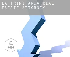 La Trinitaria  real estate attorney
