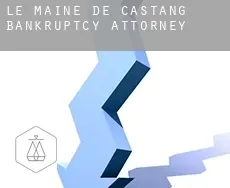 Le Maine de Castang  bankruptcy attorney