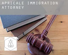 Apricale  immigration attorney