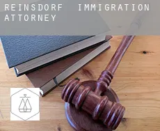 Reinsdorf  immigration attorney