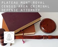 Plateau-Mont-Royal (census area)  criminal defense attorney