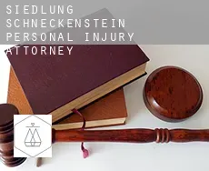 Siedlung Schneckenstein  personal injury attorney