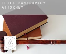 Tuili  bankruptcy attorney